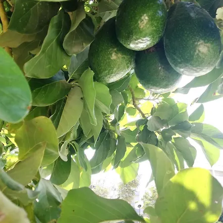 Apartment 2